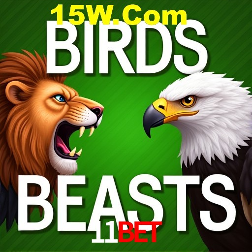 A Experiência Imersiva dos Cassinos Ao Vivo no 11bet
